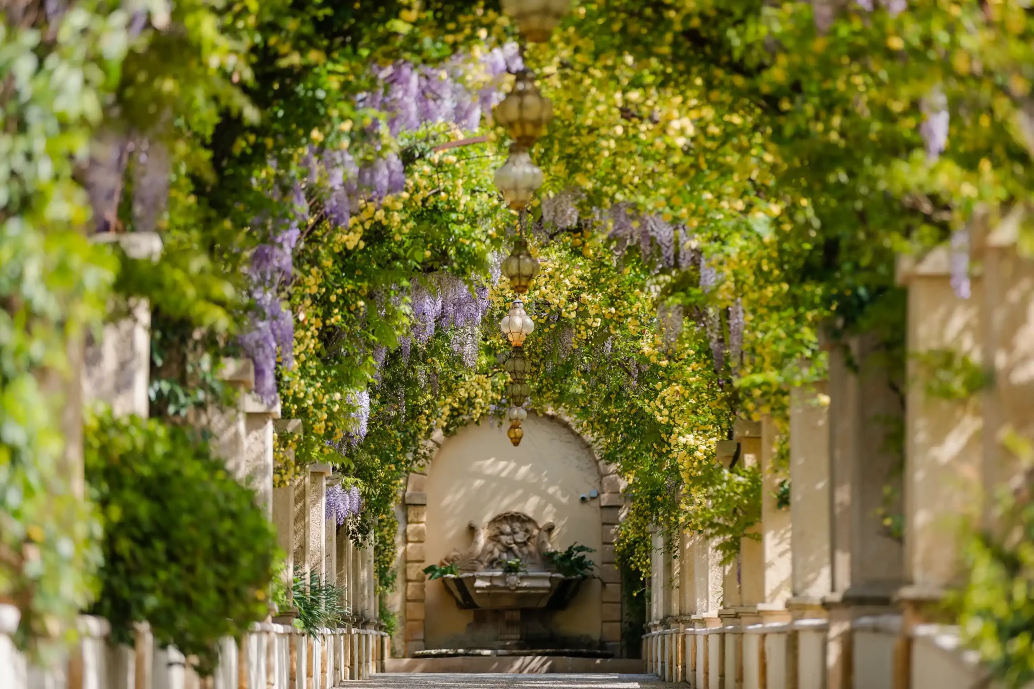 img-interna-Byblos_002